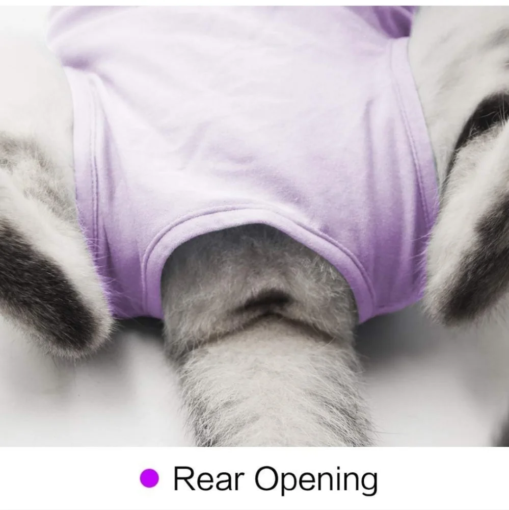 Cat post surgery recovery suit